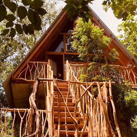 Angry Birds Tree House Habarana Exterior foto