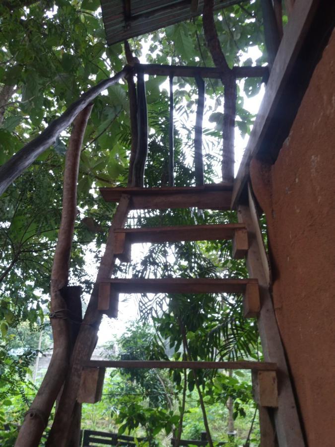 Angry Birds Tree House Habarana Exterior foto