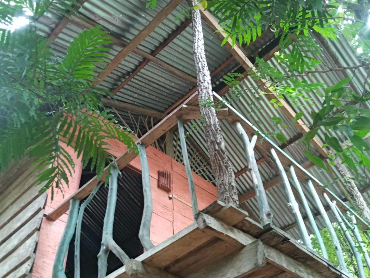 Angry Birds Tree House Habarana Exterior foto