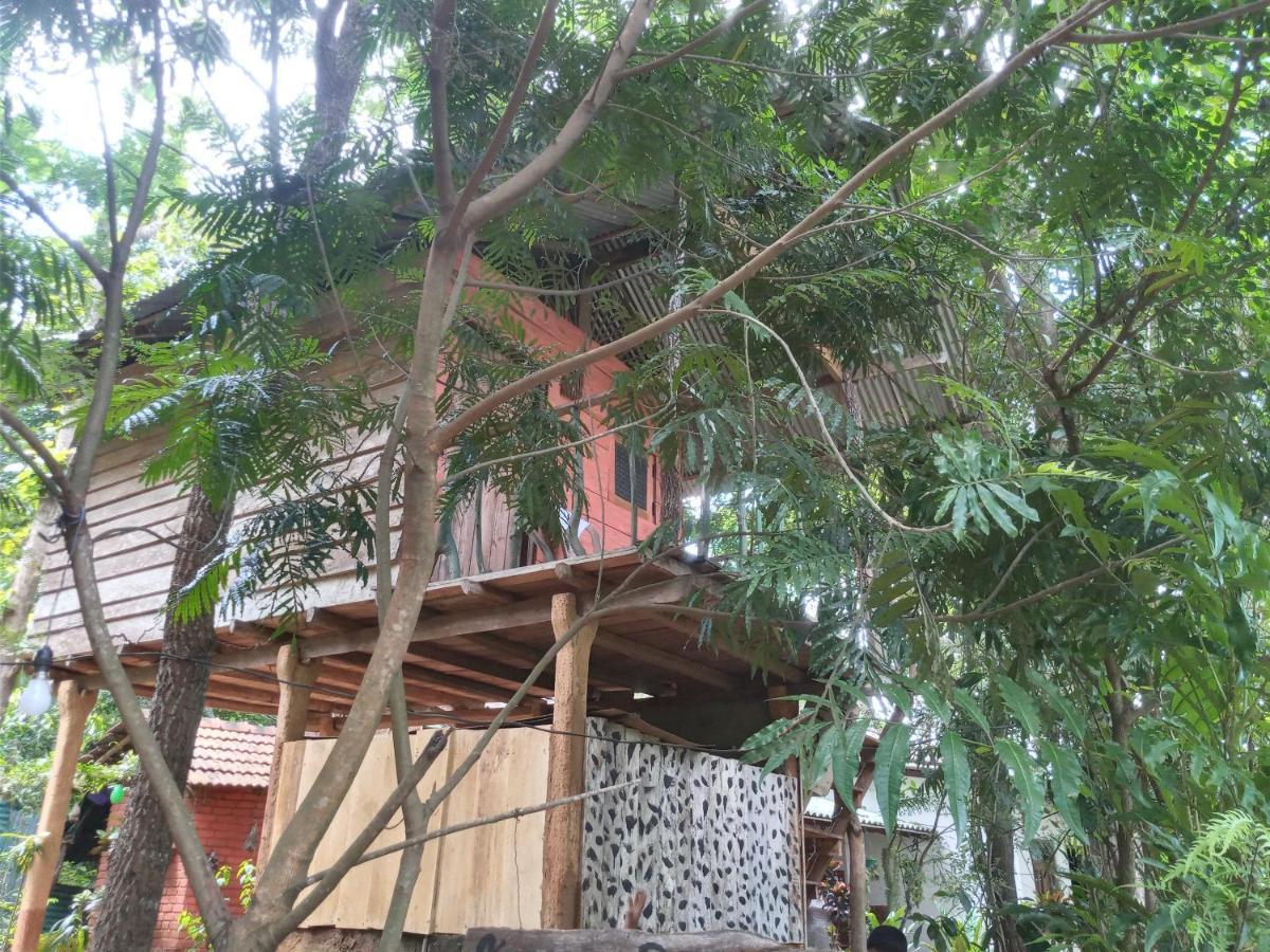 Angry Birds Tree House Habarana Exterior foto
