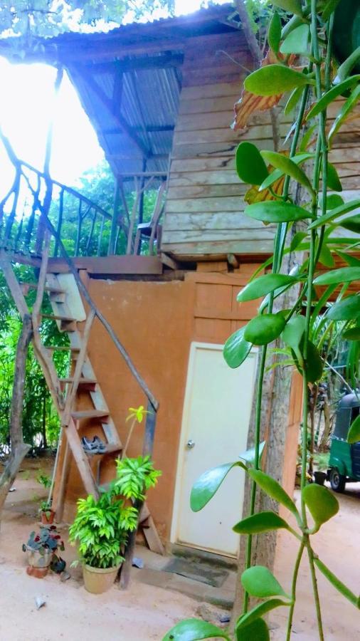 Angry Birds Tree House Habarana Exterior foto