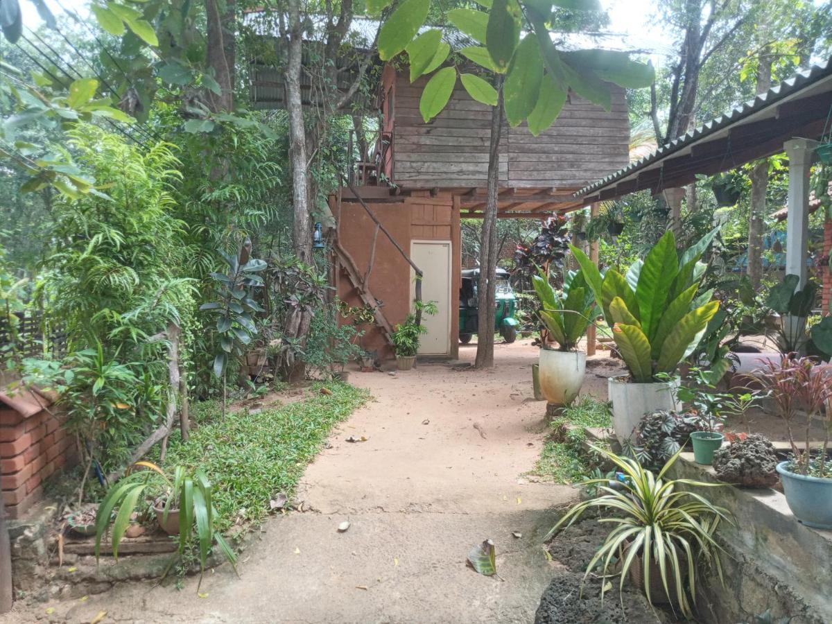 Angry Birds Tree House Habarana Exterior foto