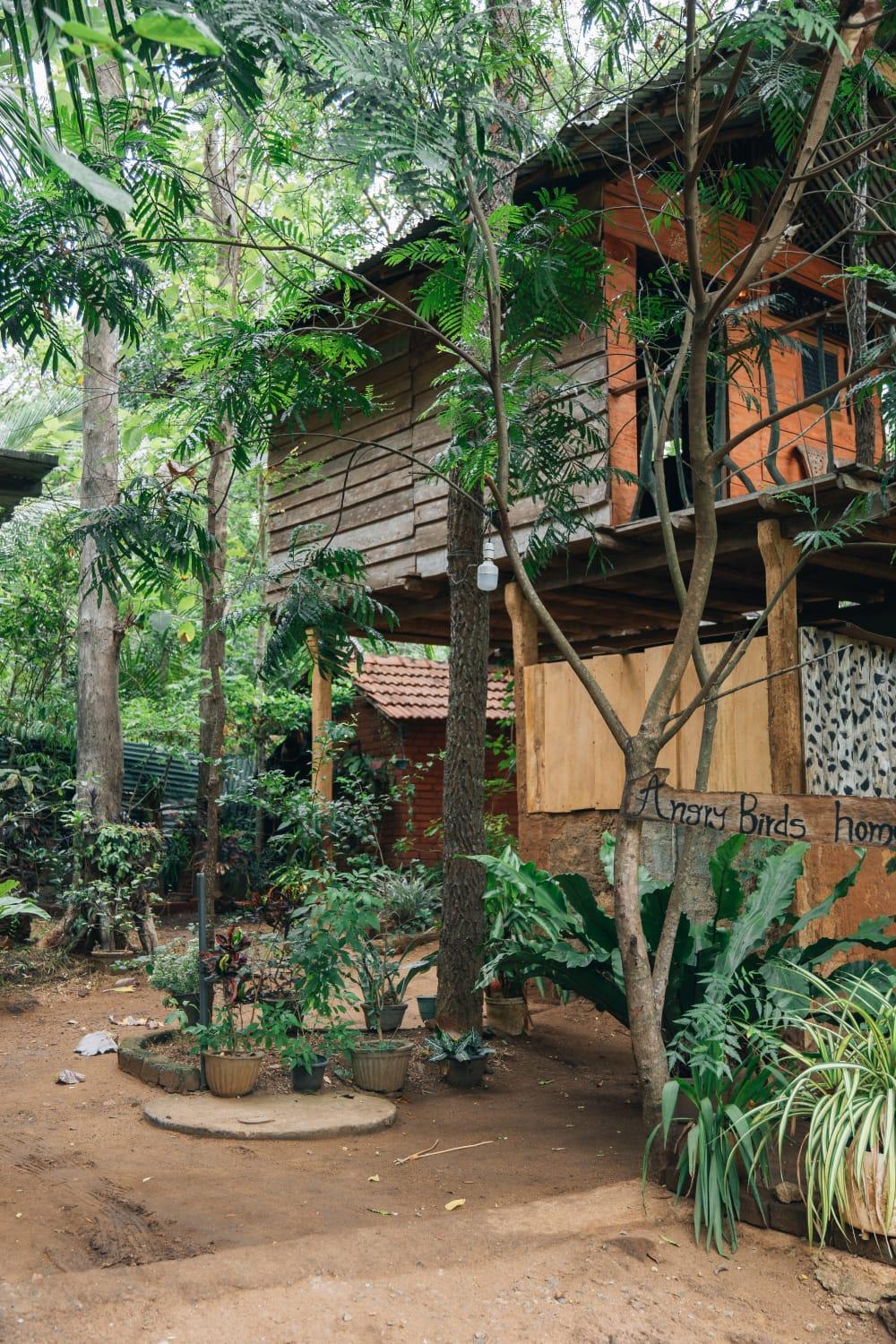Angry Birds Tree House Habarana Exterior foto