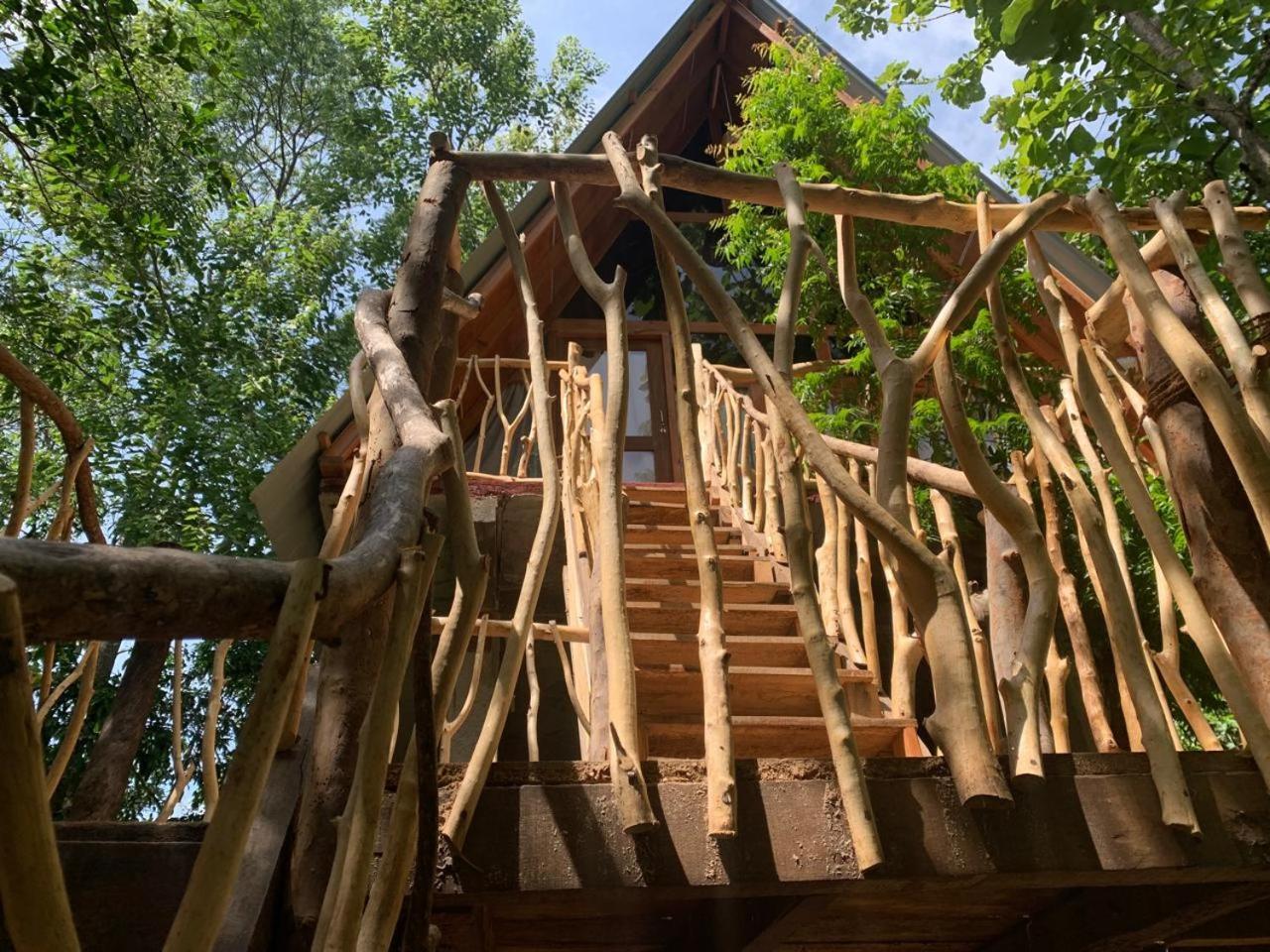 Angry Birds Tree House Habarana Exterior foto