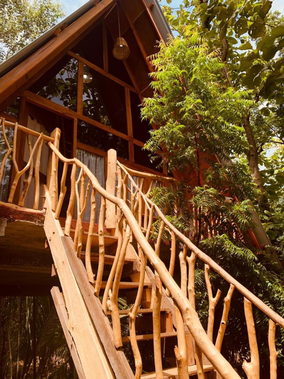 Angry Birds Tree House Habarana Exterior foto