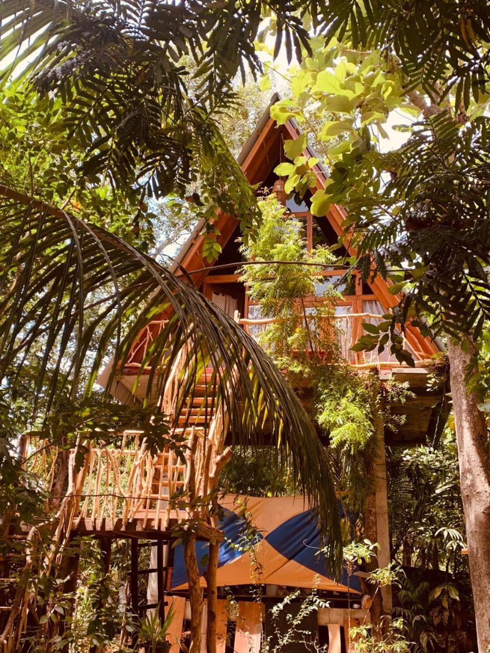 Angry Birds Tree House Habarana Exterior foto