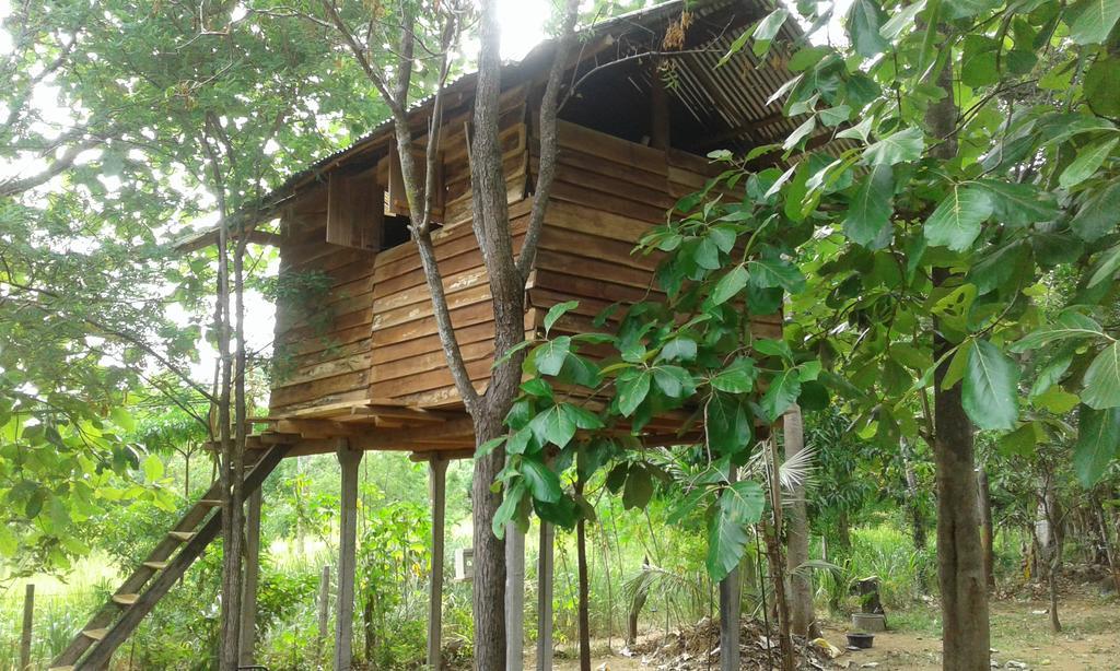 Angry Birds Tree House Habarana Exterior foto