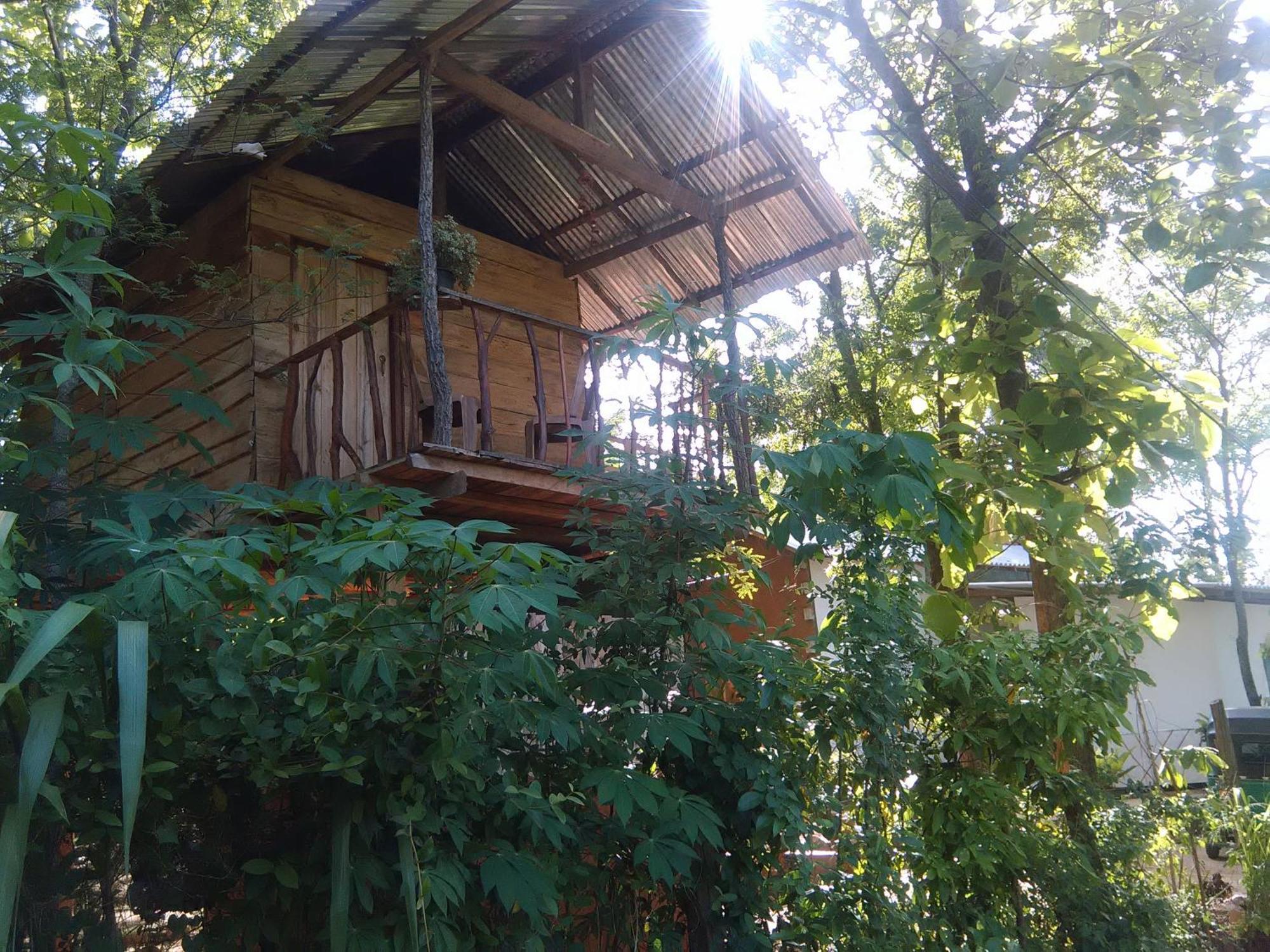 Angry Birds Tree House Habarana Exterior foto
