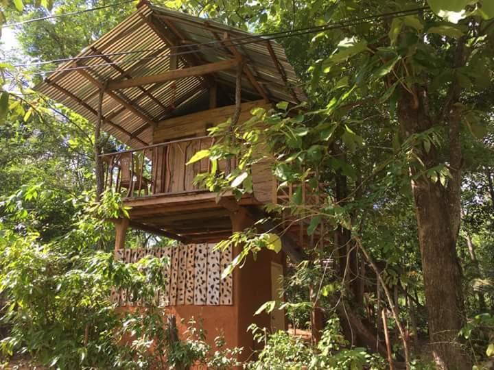 Angry Birds Tree House Habarana Exterior foto