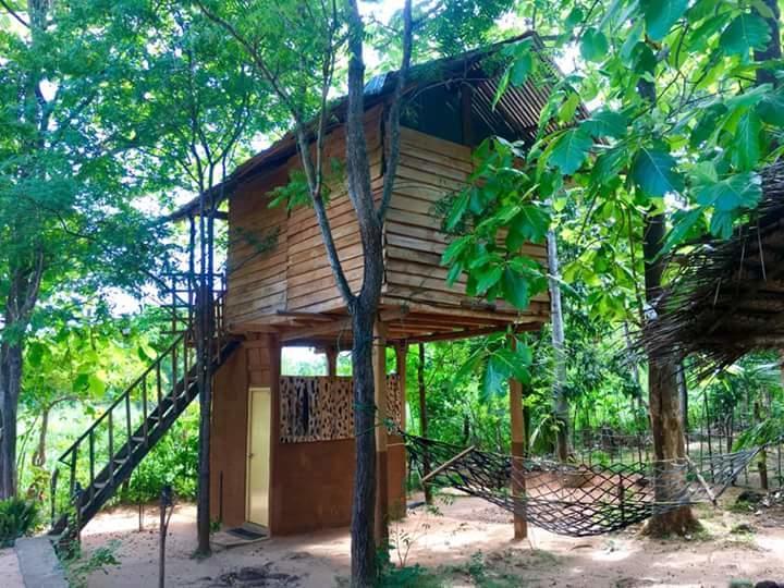 Angry Birds Tree House Habarana Exterior foto