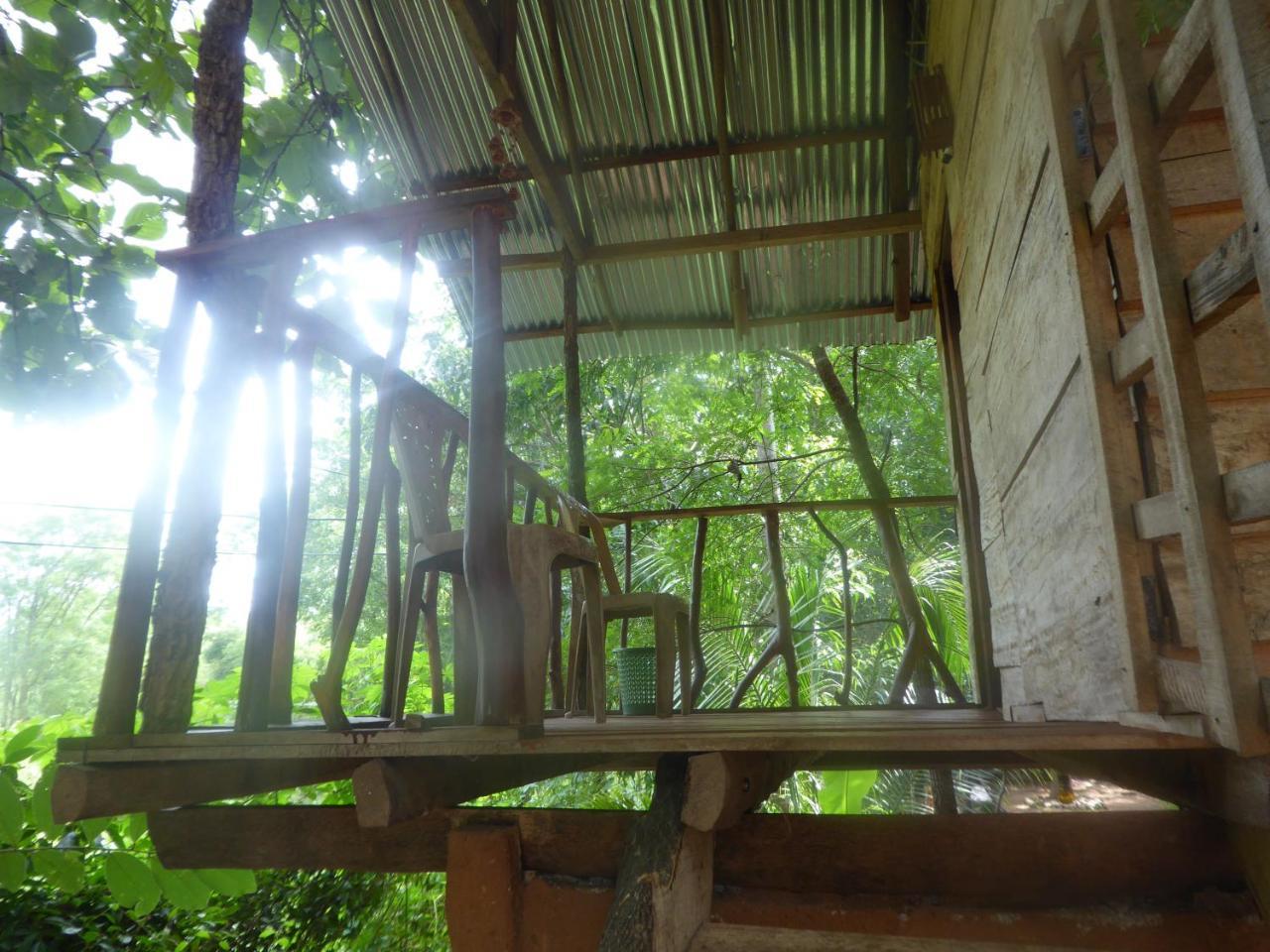 Angry Birds Tree House Habarana Exterior foto