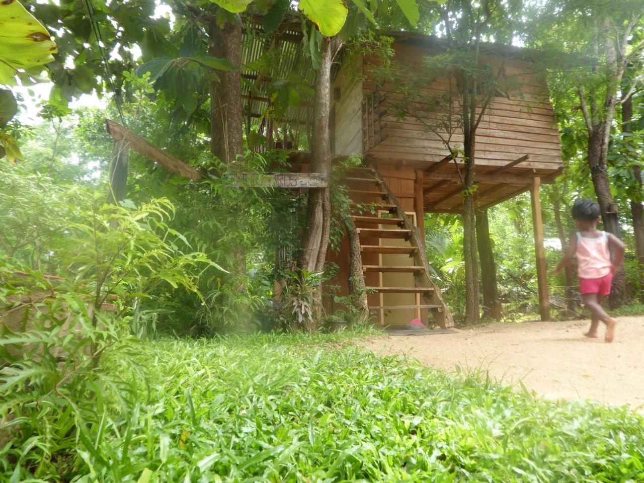 Angry Birds Tree House Habarana Exterior foto
