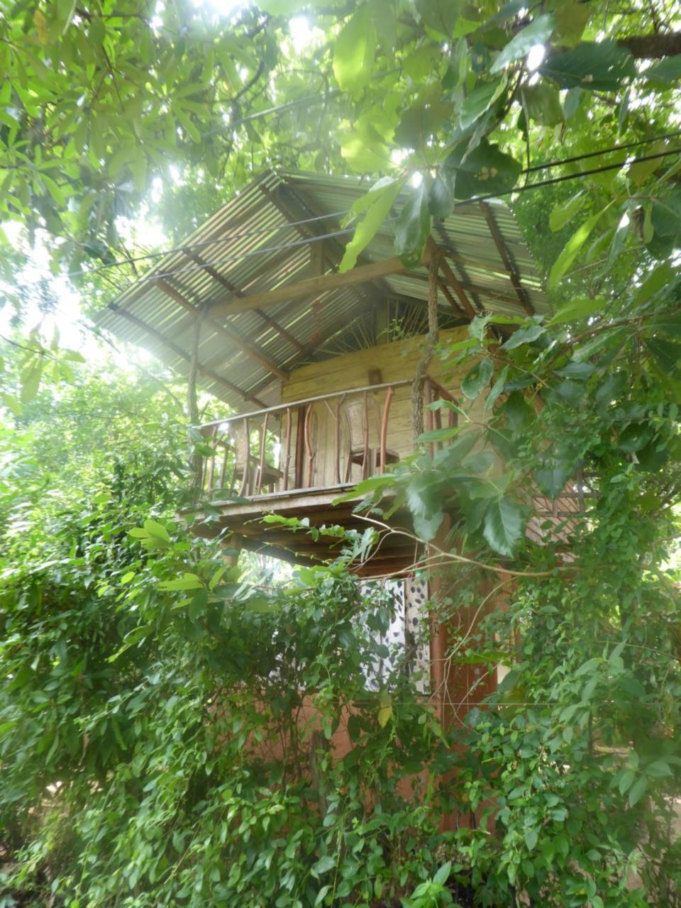 Angry Birds Tree House Habarana Exterior foto