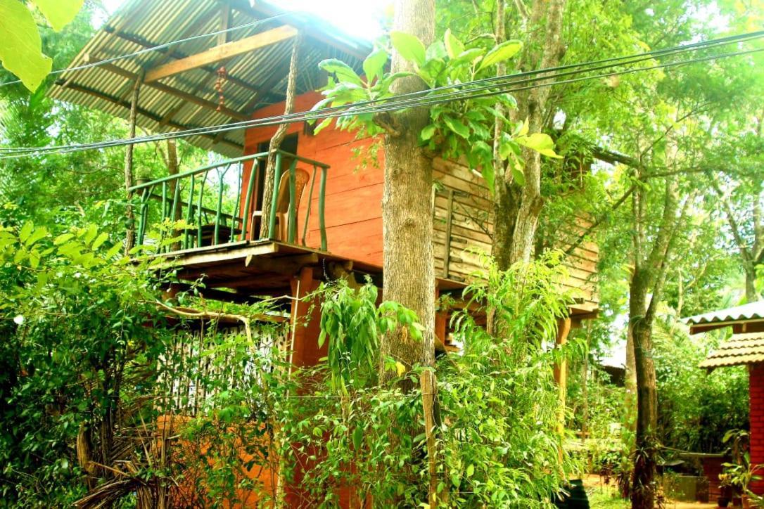Angry Birds Tree House Habarana Exterior foto
